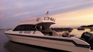 Seahorse II Yacht-1600X900