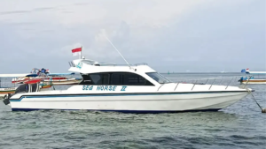 Seahorse II Yacht 21600X900
