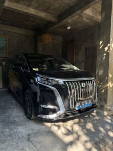 BYD Denza 2