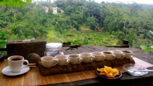 coffee-plantation4-1600X900