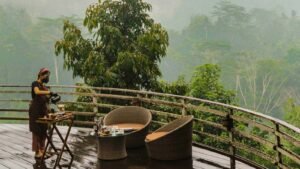 coffee-plantation6-1600X900