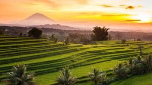 jatiluwih2-1600x900