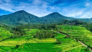 jatiluwih4-1600x900